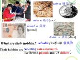 Module 6  Hobbies Unit 1 Do you collect anything_课件2023-2024学年外研版八年级英语下册