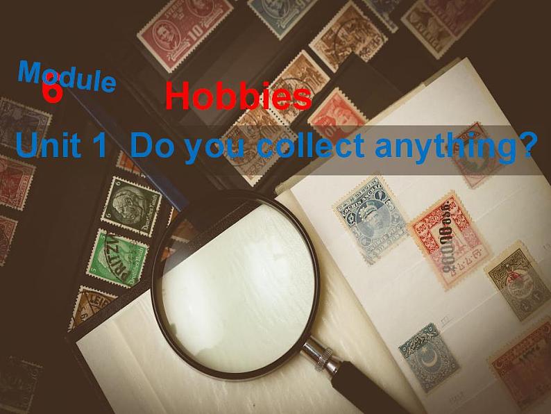 Module 6  Hobbies Unit 1 Do you collect anything_课件2023-2024学年外研版八年级英语下册第6页