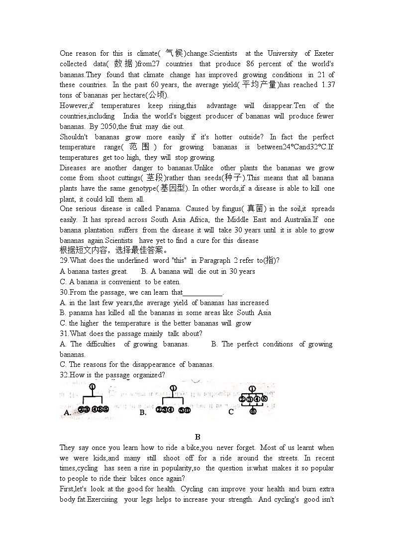 2024年山东省临沂市兰山区中考英语模拟试题第3页