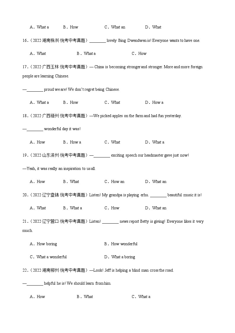 2024年中考英语单项选择题分类训练专题20感叹句（学生版）第3页