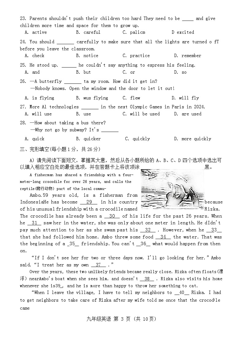 2024年江西省新余市九年级下学期中考一模英语试卷03