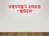 中考英语语法专项复习课件  一般现在时
