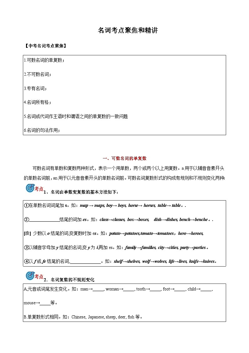 2024届中考英语语法复习专题1名词考点聚焦和精讲（原卷版）第1页