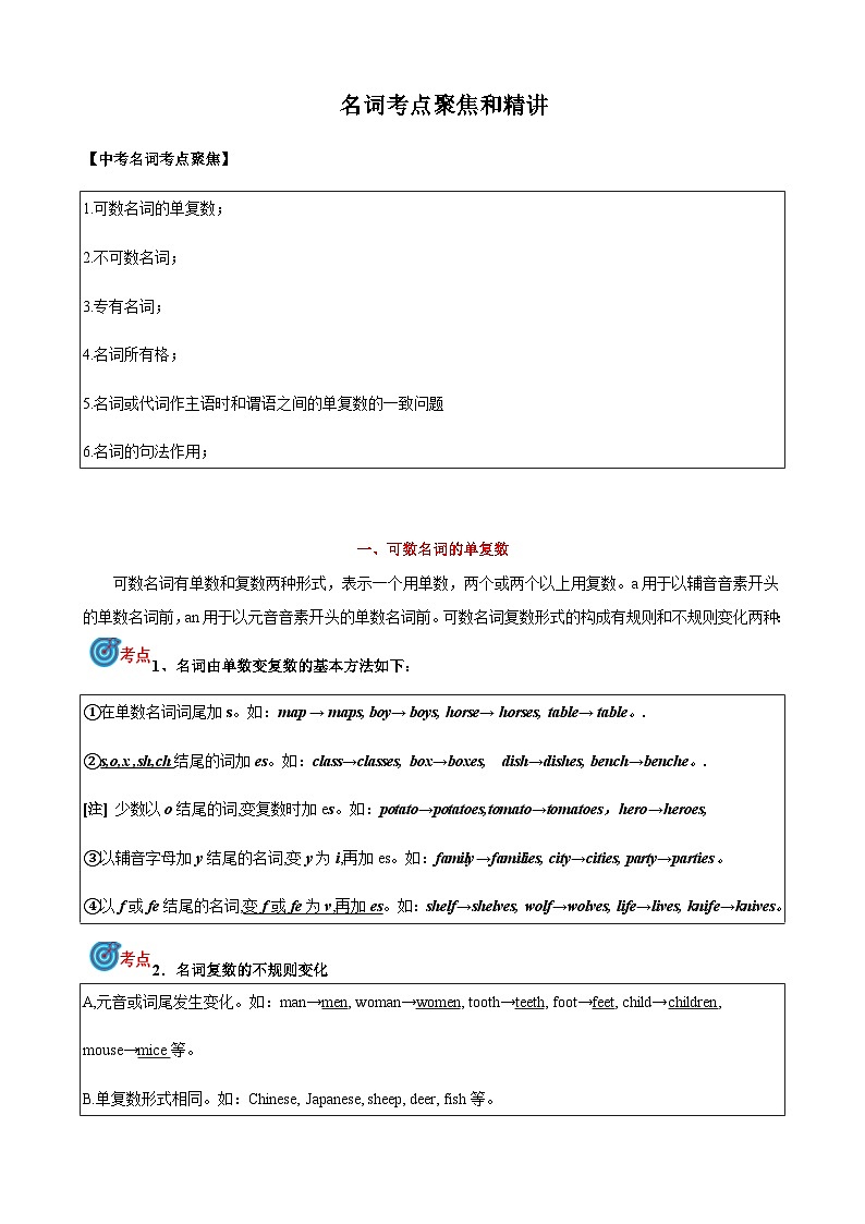 2024届中考英语语法复习专题1名词考点聚焦和精讲（解析版）第1页
