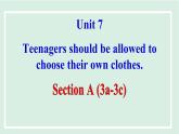Unit 7 Teenagers should be allowed to choose their own clothes课件 2024-2025学年人教版英语九年级全册