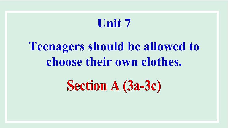 Unit 7 Teenagers should be allowed to choose their own clothes课件 2024-2025学年人教版英语九年级全册01