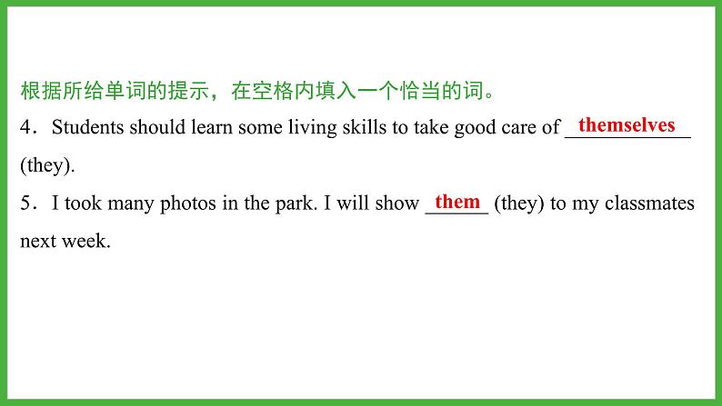 2024年福建省中考英语二轮复习课件专题4　代词【思维导图总结+中考真题演练】第5页