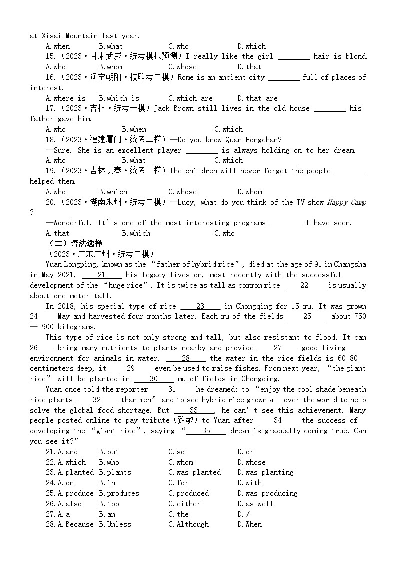 初中英语2024届中考复习定语从句专项练习（模拟练习+真题练习）（附参考答案和解析）第2页