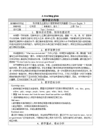 仁爱科普版七年级上册Topic 2 What does she look like?教案设计