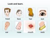仁愛版英語七年級上冊 Unit 2 looking different Topic 1. I have a small nose. 課件