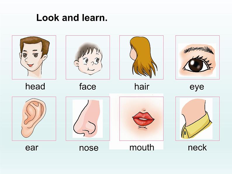 仁爱版英语七年级上册 Unit 2 looking different Topic 1. I have a small nose. 课件第2页