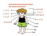 仁愛版英語七年級上冊 Unit 2 looking different Topic 1. I have a small nose課件
