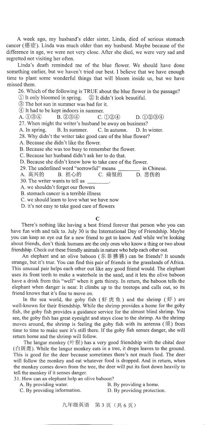 河南省新乡市卫辉市2023-2024学年九年级下学期4月月考英语试题第3页