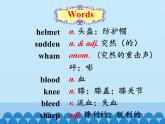 冀教版英语九年级全一册 Unit 3  Safety Lesson 15_ 课件