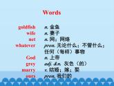 冀教版英语九年级全一册 Unit 6  Movies and Theatre Lesson 33_ 课件