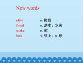 冀教版英語九年級全一冊 Unit 7  Work for Peace Lesson 39_ 課件