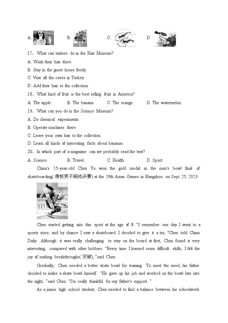 湖北省襄阳市襄州区2024届九年级中考一模英语试卷(含答案)03