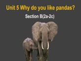 Unit 5 Why do you like pandas_ Section B(2a-2c)课件 2023-2024学年人教版七年级英语下册