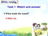 牛津译林版七年级英语下册Unit5 Amazing-thingsReading1课件