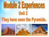 外研版英语八年级下册Module2 Experiences课件