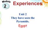 外研版八年级英语下册Module2Unit 2 They have seen the Pyramid课件