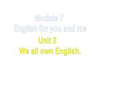 外研版九年级英语下册Module 7 English for you and me Unit 2 课件