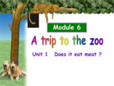 外研版英語七年級上冊 Module6 Unit1 課件