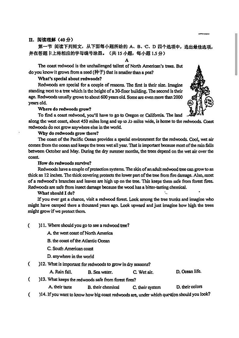 广东省深圳市深圳湾学校联考2024年中考二模考试英语试题第2页