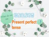 牛津譯林版八下英語第一單元語法課時八B Unit 1 Grammar同步PPT課件
