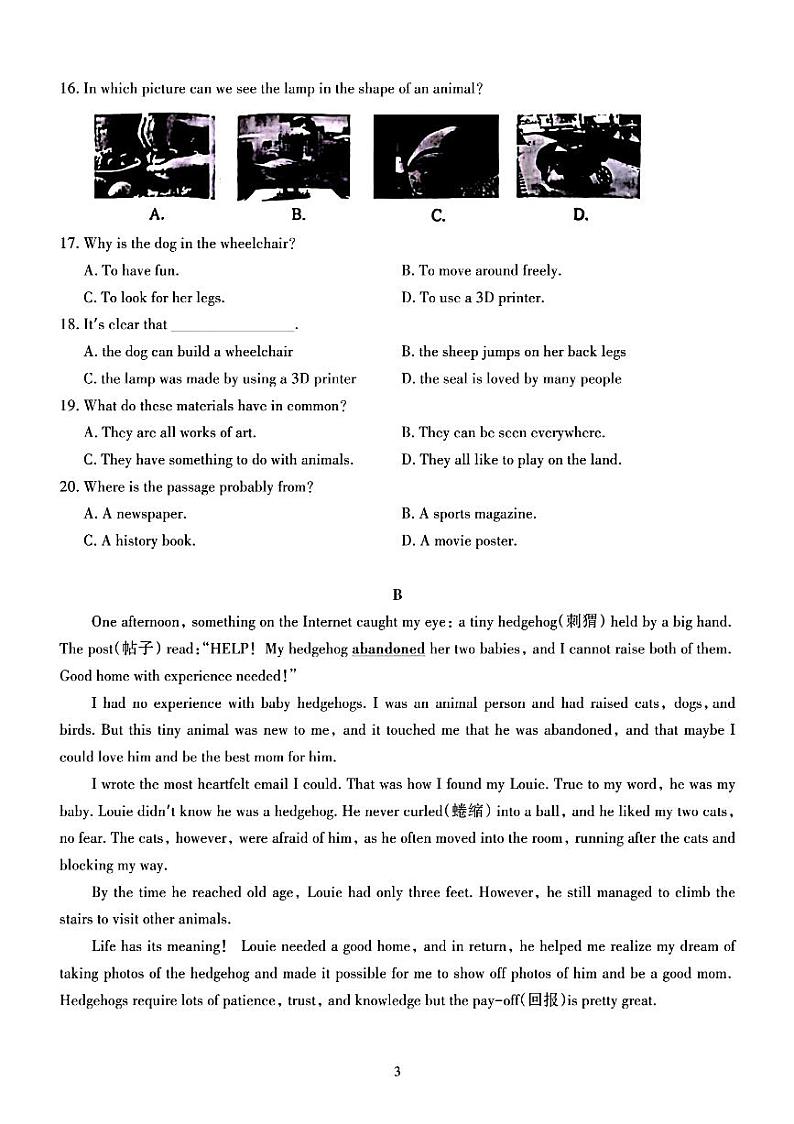 湖北初中名校联盟2024年5月中考适应性考试英语试卷03