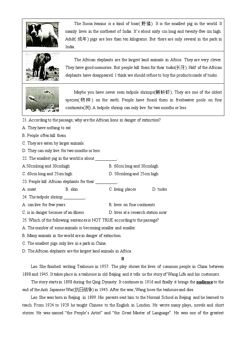 广东省茂名市电白区2023-2024学年八年级上学期期中英语试题03