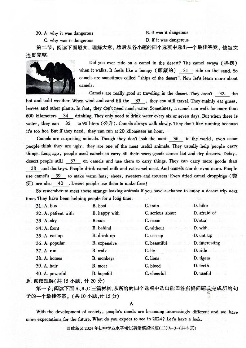 2024年陕西省西安市西咸新区九年级下学期二模英语试题第3页