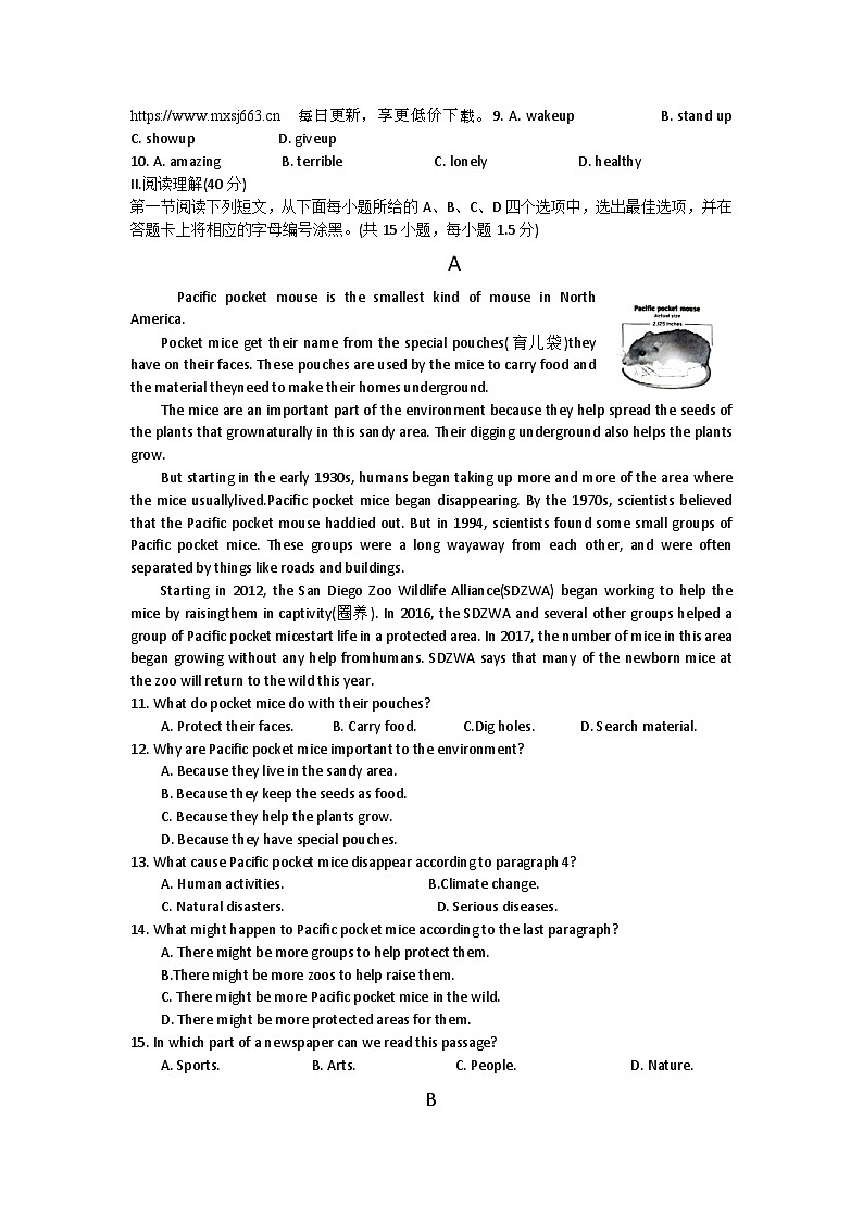 2024年广东省深圳市龙华区中考二模英语试题02