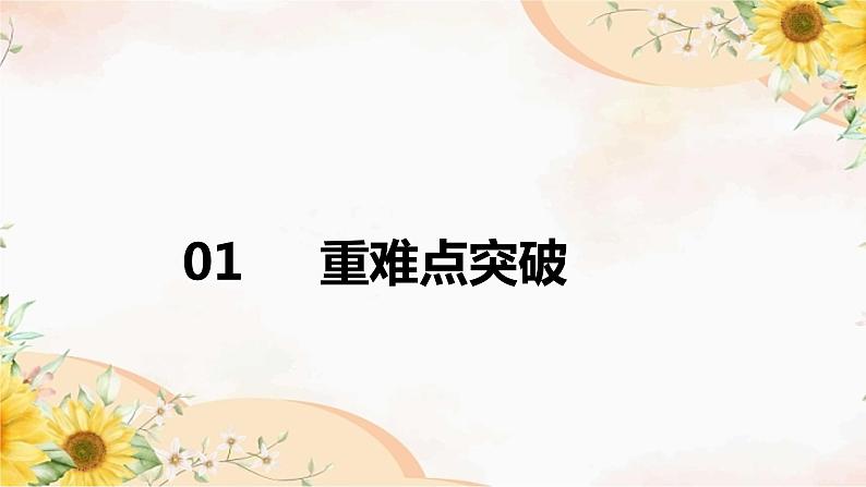 2024年中考英语专题课件：话题十七 自然第5页