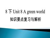 牛津译林版八下Unit8知识要点复习与解析复习课件PPT