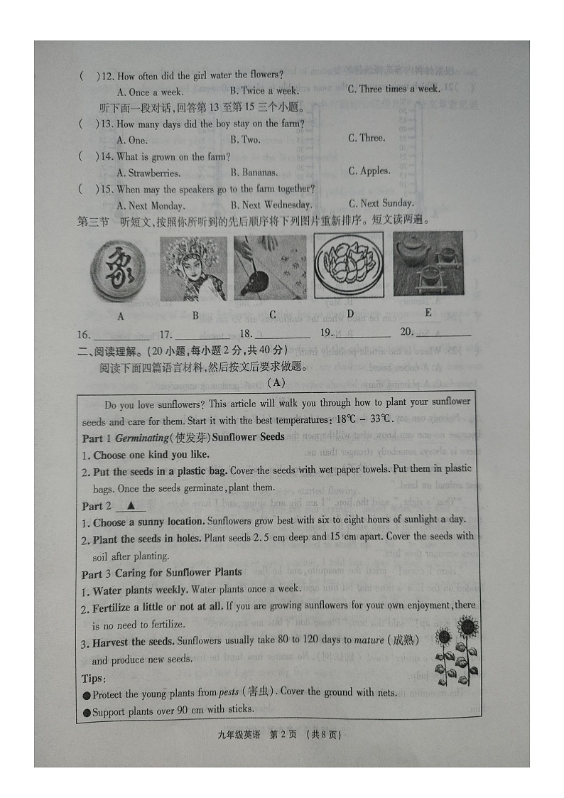 62，2024年河南省漯河市临颍县中考一模英语试题03