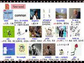 人教版初中英语8上Unit4What's the best movie theater Section B(2a-2e)课件+教案+音频