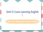 2024年七年级下册英语冀教版教学课件 Lesson 30