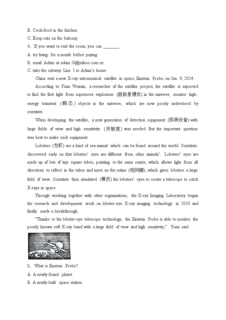 山东省临沂市兰陵县2024届九年级下学期期中阶段质量调研英语试卷(含答案)02