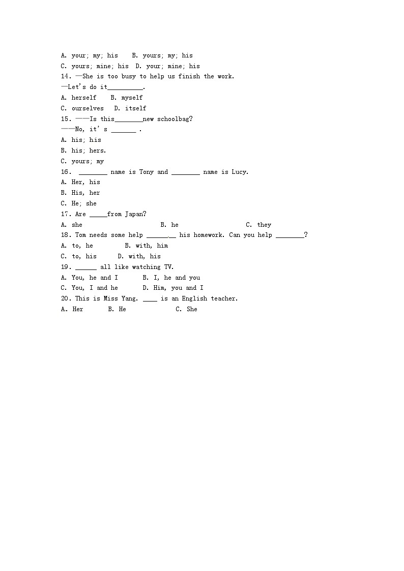 中考英语专题练习——人称代词第2页