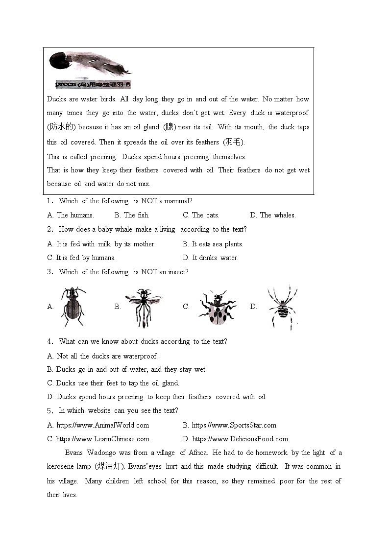 河南省许昌市2024年中考二模英语试卷(含答案)02