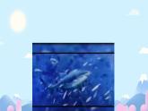 人教九年级英语Unit13《We are trying to save the earth！》课件