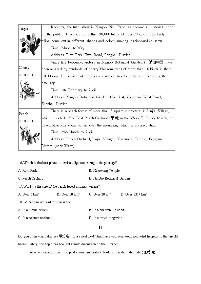 2024年浙江省宁波市江北区中考一模英语试题（含详细答案解析）03