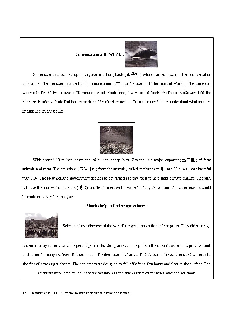 2024年中考英语最后一卷（湖北统考卷）-2024年中考英语各地市最后押题预测卷第3页