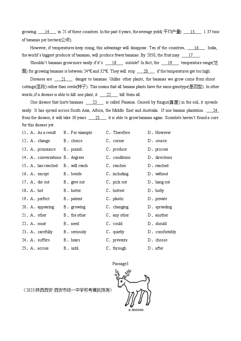 第03讲 完形填空之说明文（练习）-2024年中考英语一轮复习讲练测（全国通用）（原卷版）第2页