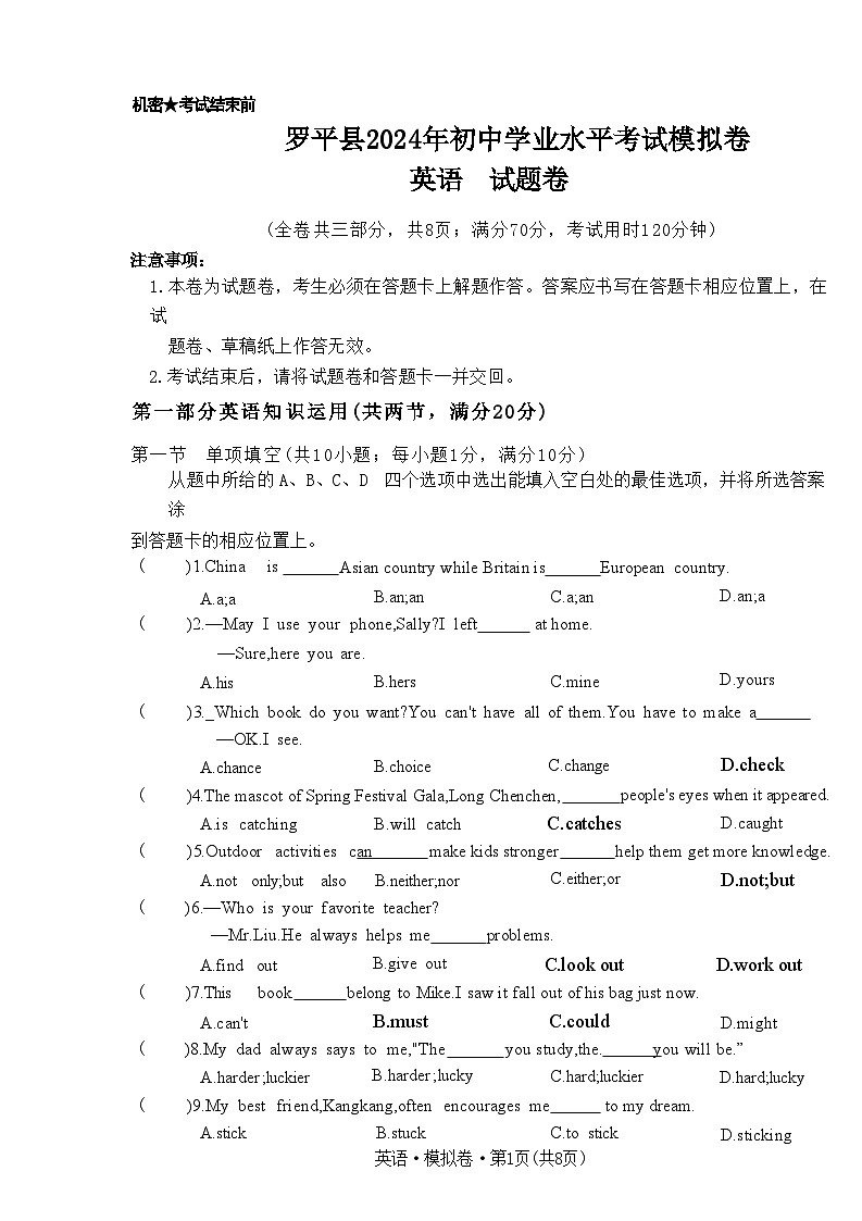 云南省曲靖市罗平县2024年初中学业水平考试模拟考试九年级英语试卷01