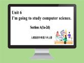 人教版初中英语8上Unit6Section A(1a－2d)课件+教案+音频