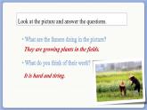 滬教牛津英語九年級上冊 Module 3 Unit 6 More practice - Project PPT課件