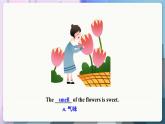滬教牛津英語七年級上冊 Module 2 Unit 3 More practice-Culture corner PPT課件