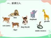 人教新目标版英语七年级下册 Unit 5 Why do you like pandas？Section A (1a-2d)课件
